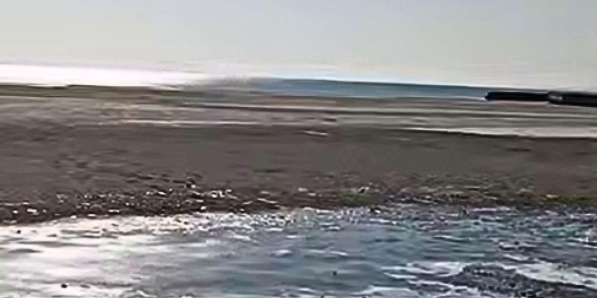 берег азовського моря